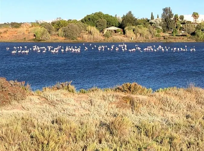 Daire Quinta Nova 103 Alvor