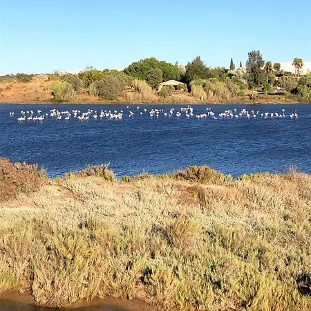 アパート Quinta Nova 103 アルヴォル